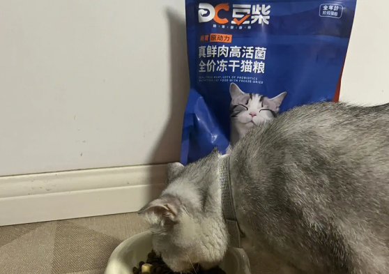 豆柴猫粮曝光 豆柴猫粮曝光
