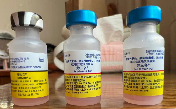 家猫有必要打妙三多吗-宠物网