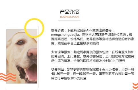 宠物账号内容简介怎么写 宠物账号内容简介怎么写