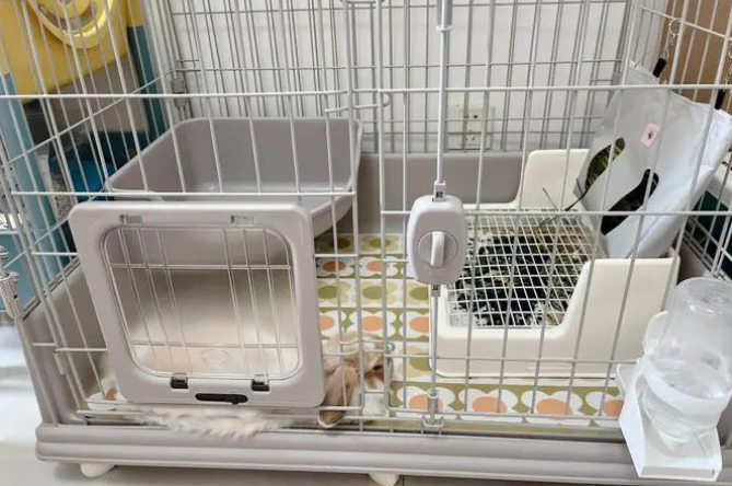 兔子笼下面垫什么