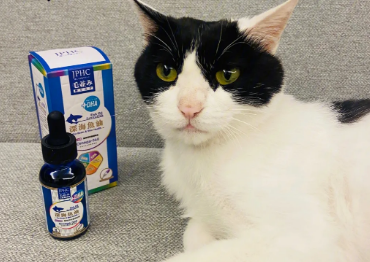 猫长期吃鱼油的危害