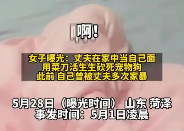 家暴男被指当妻子面砍杀宠物狗,当地有关部门已介入调查 家暴男被指当妻子面砍杀宠物狗,当地有关部门已介入调查
