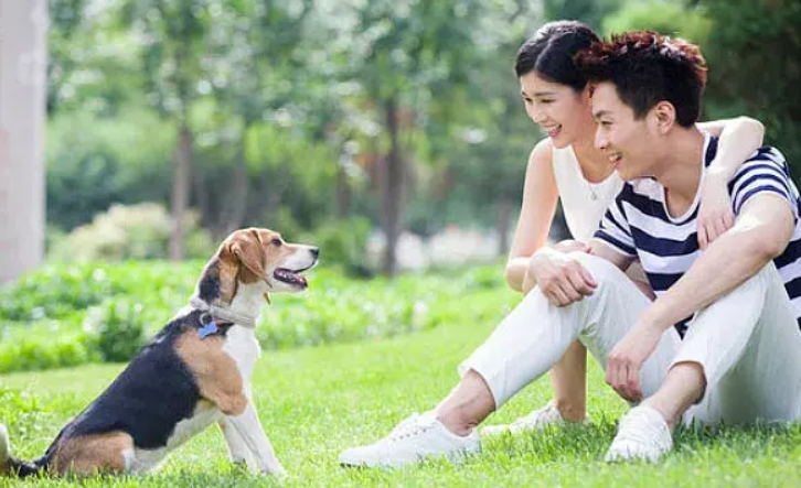 情侣如何秀恩爱撒狗粮文字呢