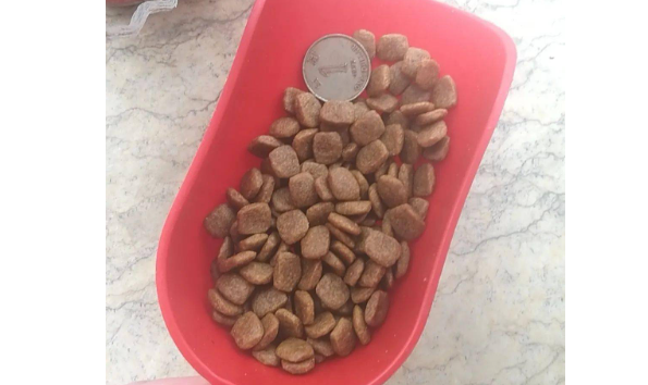 如何制作幼犬湿狗粮呢