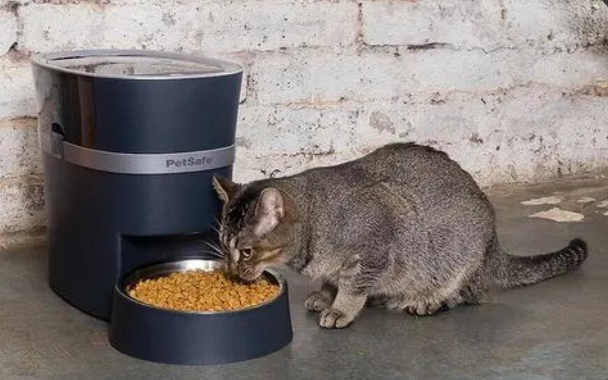 宠物自动喂食器什么牌子好