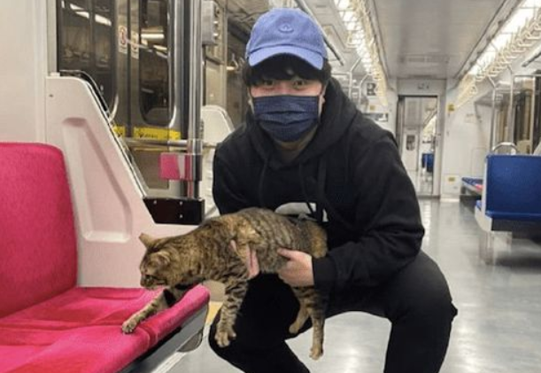 地铁上发现了一只猫咪，被抓住了还想要逃，好像是逃票人员呀！