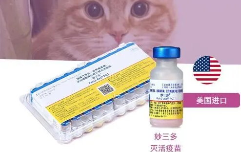 妙三多预防什么疾病