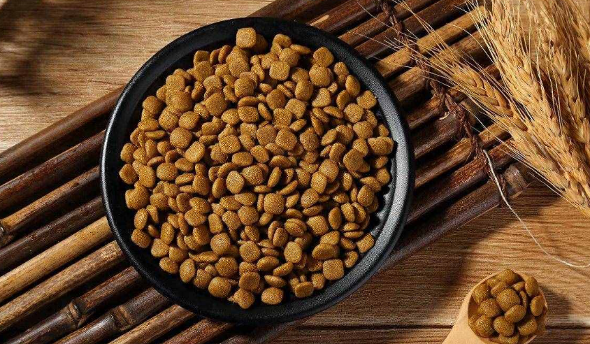 狼孩儿狗粮是品牌吗 狼孩儿狗粮是品牌吗