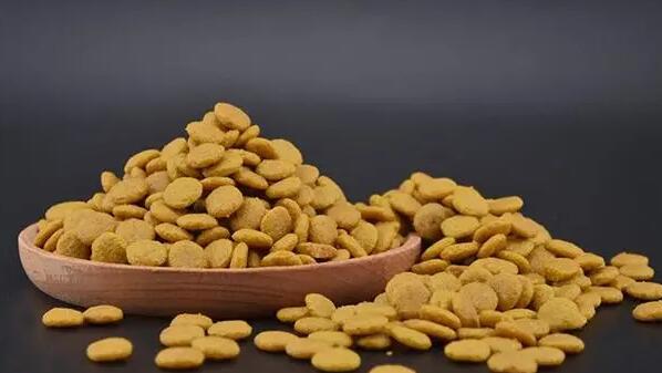 细狗专用狗粮 细狗专用狗粮