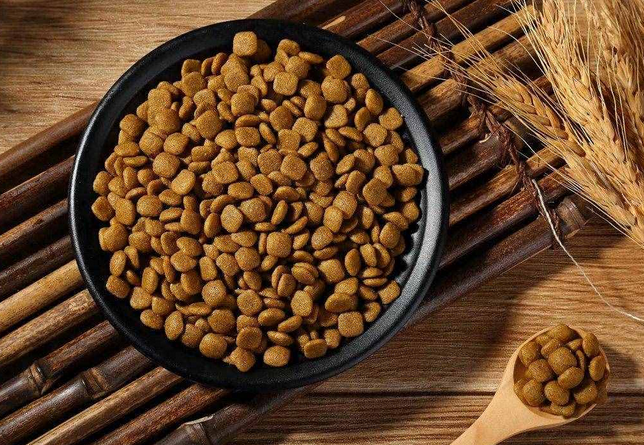 如何选购一款好的狗粮呢