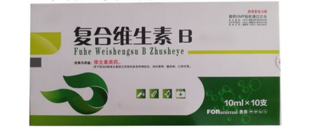 狗狗吃复合维生素的好处 狗狗吃复合维生素的好处