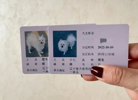 狗狗托运必须要狗证吗 狗狗托运必须要狗证吗