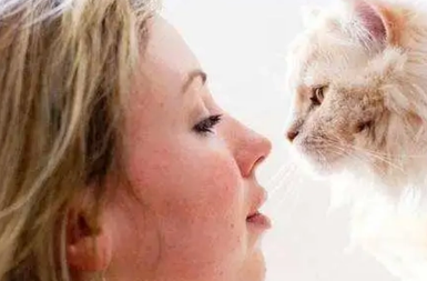 猫毛过敏6个级别区别