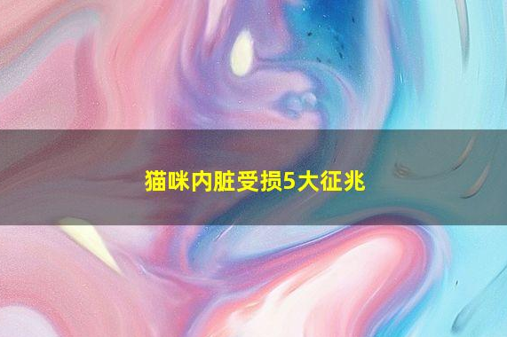 猫咪内脏受损5大征兆