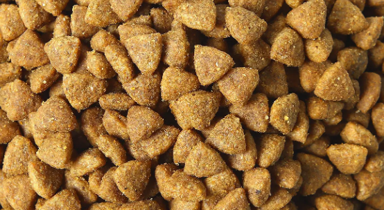 膨化狗粮如何加工出来好吃呢