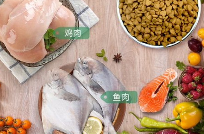 麦顿宠物食品,只做最好的宠物粮 麦顿宠物食品,只做最好的宠物粮