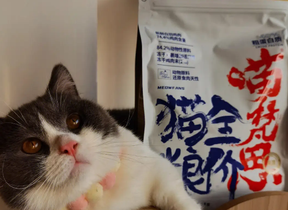 为什么说喵梵思是毒猫粮 为什么说喵梵思是毒猫粮