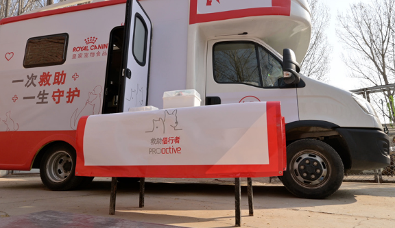 皇家宠物食品:以你我之爱,温暖“毛孩子们”的未来 皇家宠物食品:以你我之爱,温暖“毛孩子们”的未来
