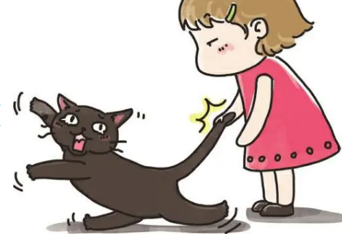 拽着猫尾巴提起来 拽着猫尾巴提起来