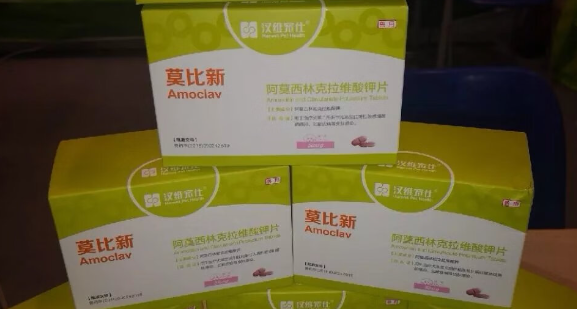 宠立维-药物使用说明书-宠物网