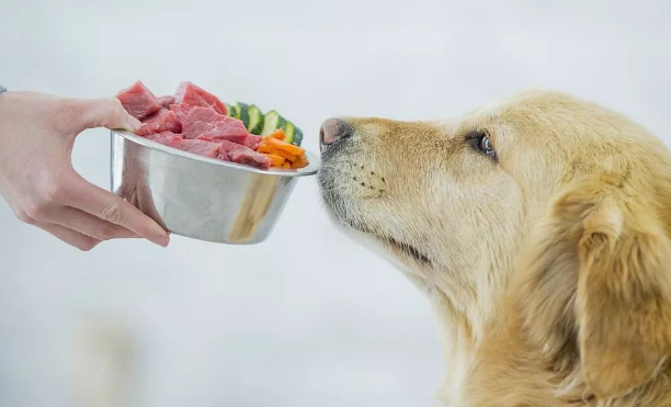 养肉狗如何消毒狗粮和猫粮的区别
