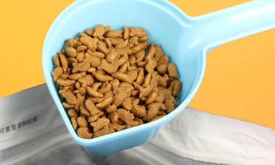 如何网上领养狗猫狗狗粮呢