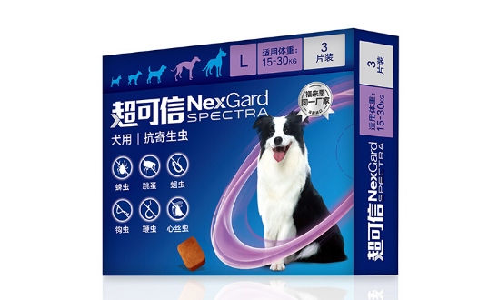 超可信用了导致狗狗精神不好 超可信用了导致狗狗精神不好