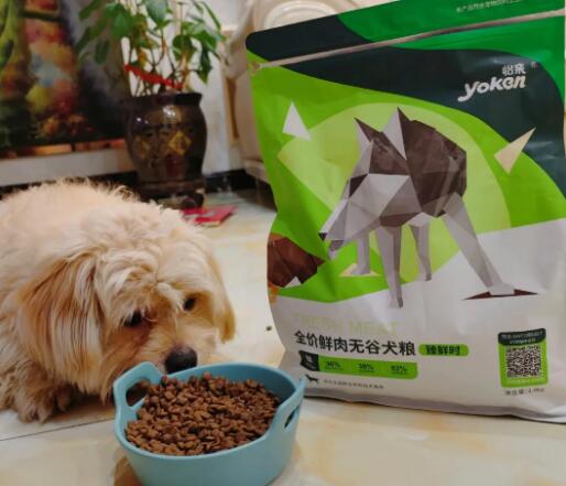 如何挑选太仓小犬狗粮呢视频