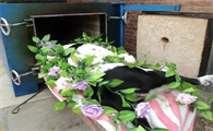 宠物死了火化要多少钱