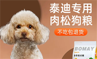 泰迪吃什么牌子的狗粮对毛发好
