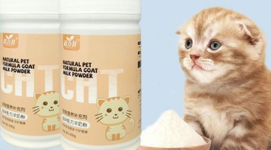 猫咪奶粉人可以喝吗