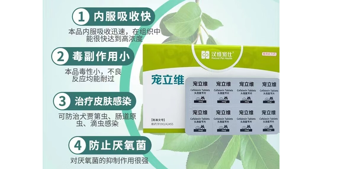宠立维品牌故事