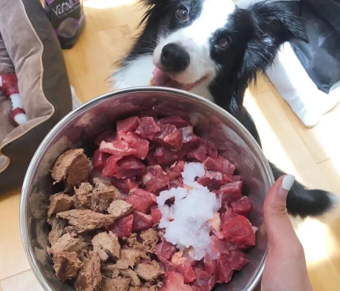 狗粮如何替换生骨肉吃