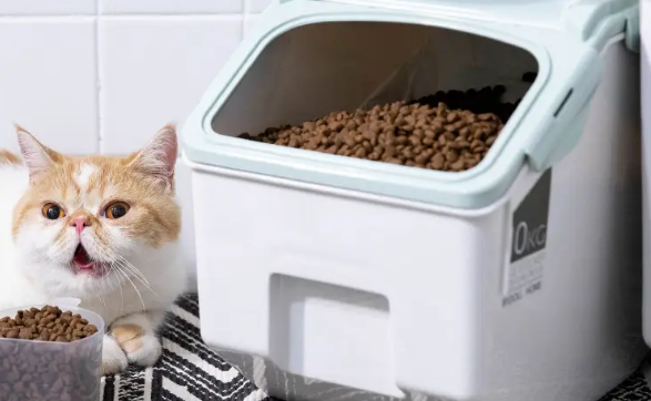 狗粮如何收纳盒子里的猫粮呢 狗粮如何收纳盒子里的猫粮呢