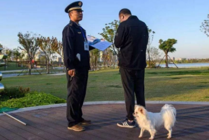上海市养犬规定最新