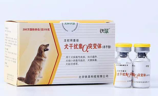 犬用干扰素的用法用量 犬用干扰素的用法用量
