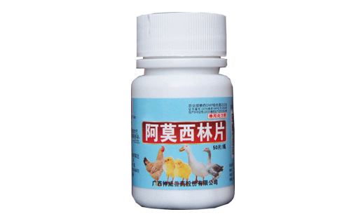 鸟生病能吃阿莫西林吗 鸟生病能吃阿莫西林吗