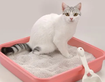 山东最大的猫砂生产厂家 山东最大的猫砂生产厂家
