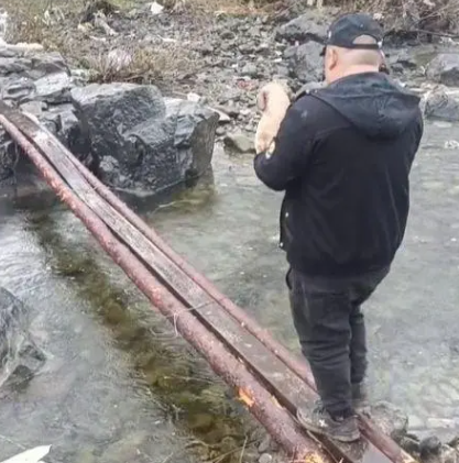 土狗病重后离家出走，主人冒雨上山找寻