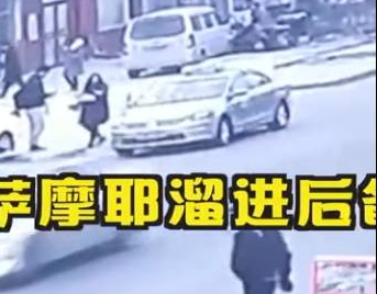 萨摩耶偷偷钻进后备箱跨城“穷游”,司机开门一瞬间让人笑岔气 萨摩耶偷偷钻进后备箱跨城“穷游”,司机开门一瞬间让人笑岔气