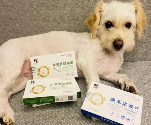 一个月的狗吃什么驱虫药好 一个月的狗吃什么驱虫药好