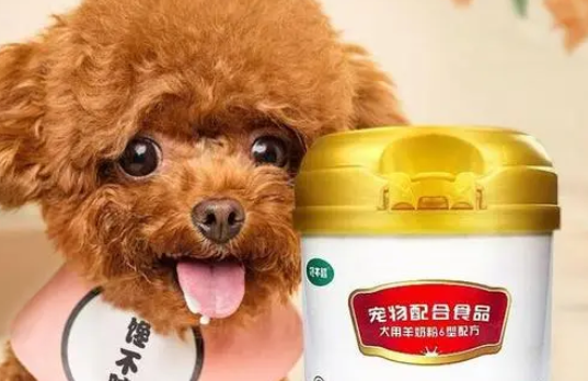 人喝了狗的羊奶粉会怎么样 人喝了狗的羊奶粉会怎么样