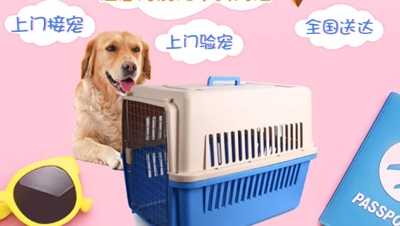 哪个平台托运宠物最靠谱 哪个平台托运宠物最靠谱