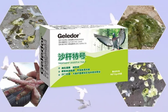鸟沙门氏菌用什么药最好