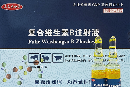 羊不反刍打几次复合维生素B