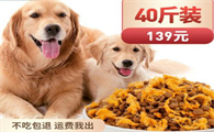 金毛狗粮哪个牌子好
