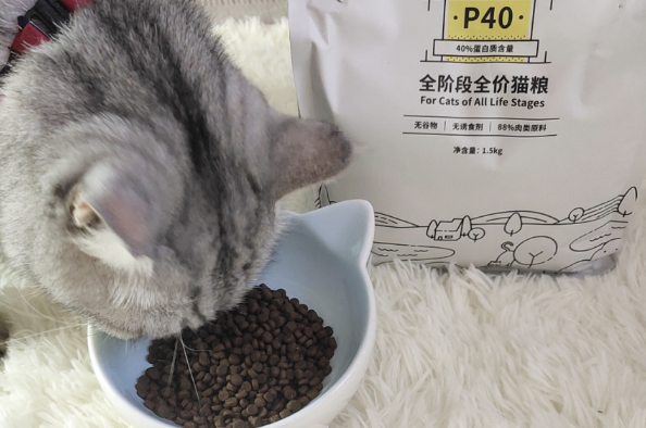 猫粮品牌档次排名