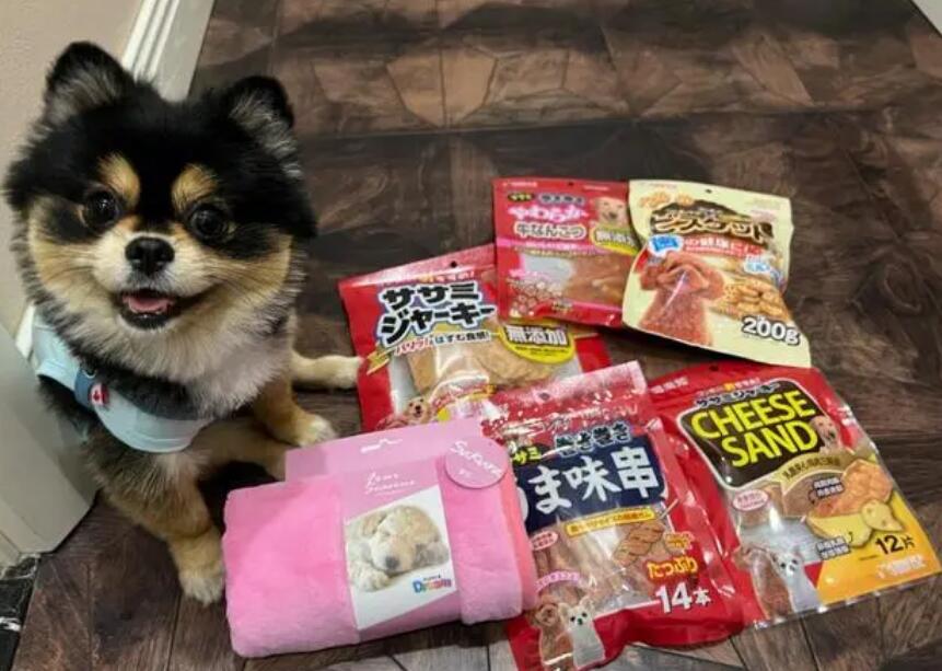 宠物食品需要办理食品经营许可证吗 宠物食品需要办理食品经营许可证吗