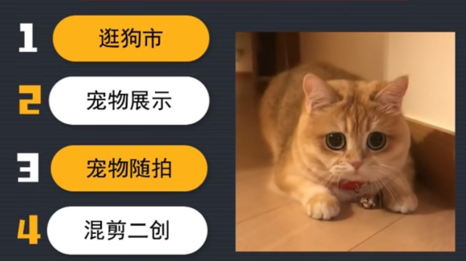 宠物中介玩法