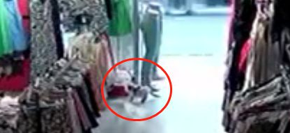 小猫去服装店潜伏数月，就是为了偷条裤子…